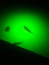 Load image into Gallery viewer, Brite Underwater Light System (175 Watts)