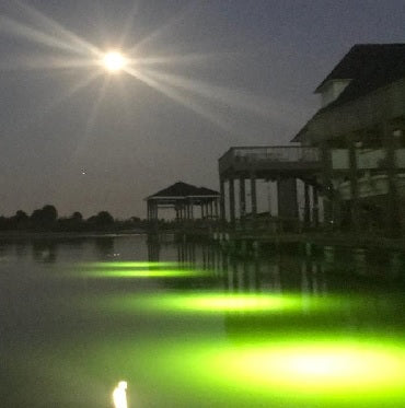 Brite Underwater Light System (175 Watts) – Under Water Green Fishing Lights