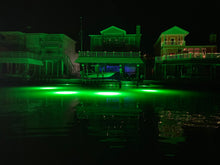 Load image into Gallery viewer, Monster Mega Replacement Bulb ( 1000 Watts)