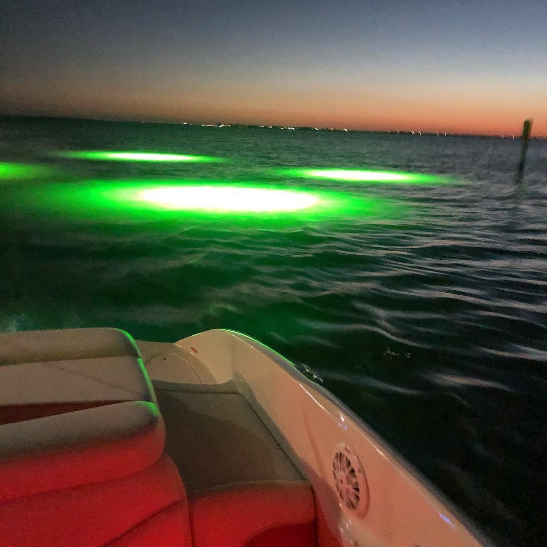 Green Monster Fishing Light (Single)