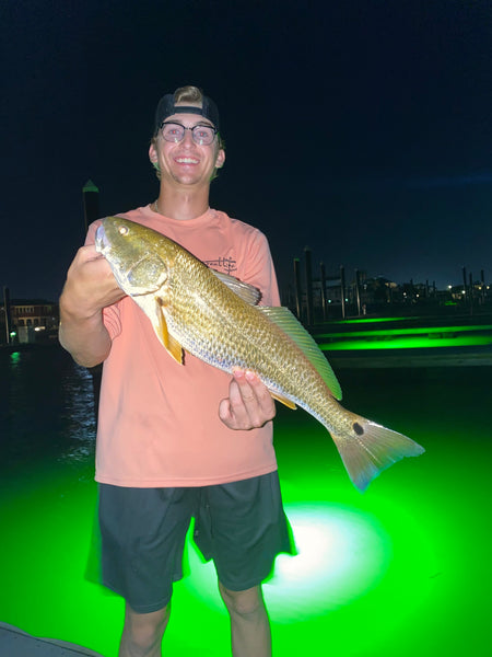 The Thrill of Catching a Trophy Redfish in Galveston, Texas Under Green Fishing Lights