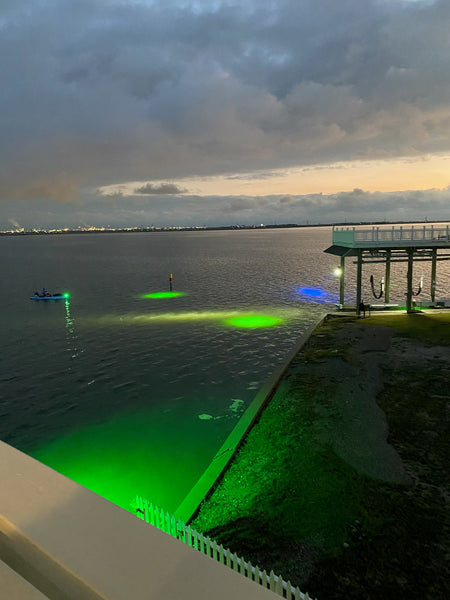 Spooky Nights, Bright Bites: Halloween Fishing with Underwater Green Fishing Lights