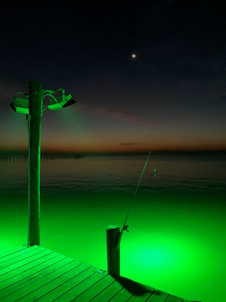 Beat the Heat: Why Early Morning Fishing with Marine Lights is Your Summer Secret Weapon