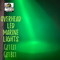 Spot vs Flood Lighting for Fishing: Which One Attracts More Fish?