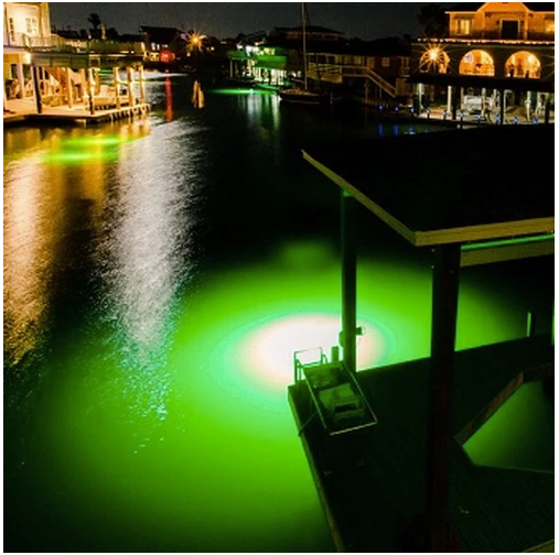 The Secret World Beneath the Glow: Night Fishing with Underwater Green Fishing Lights