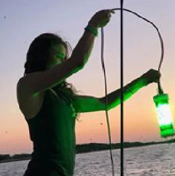 Drop it Like It’s Bright… Drop Light.