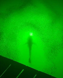 Brite Underwater Light System (175 Watts)