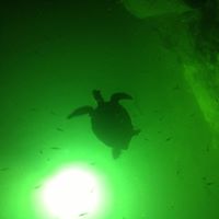 Load image into Gallery viewer, Super Mega Underwater Light System x3 (40,000  lumens - 400  Watts)