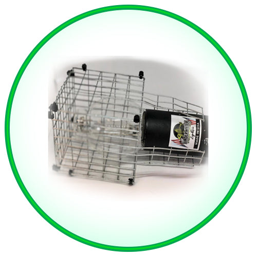 Protective Cage for Underwater Green Fishing Lights