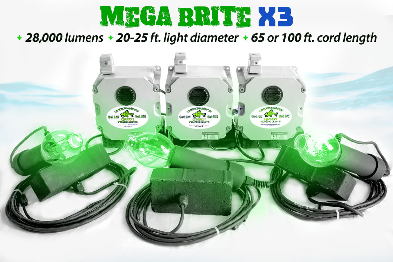 Mega Brite Underwater Light System x3 (250 Watts) – Under Water Green  Fishing Lights